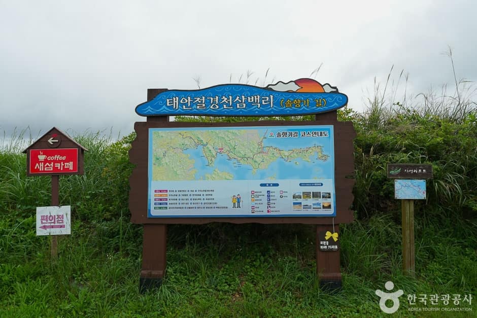 솔향기길 4코스 (15)
