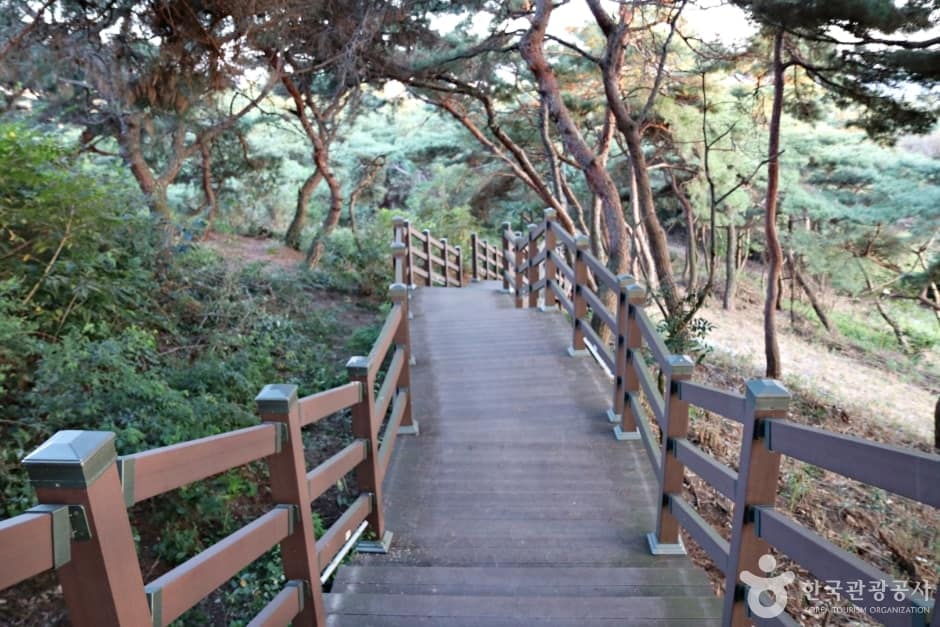 배산체육공원 (24)