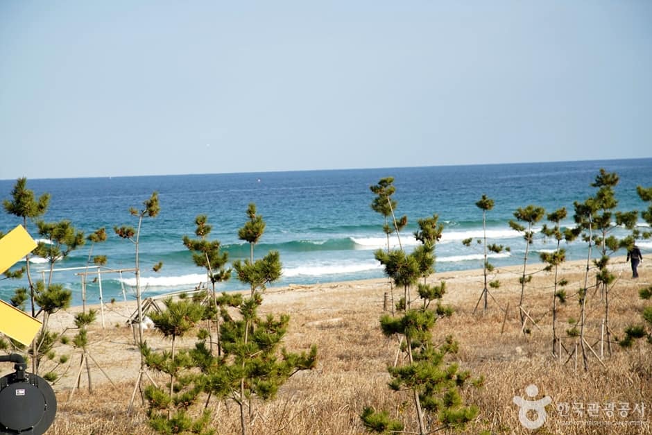 강원_강릉_도직해변 (2)