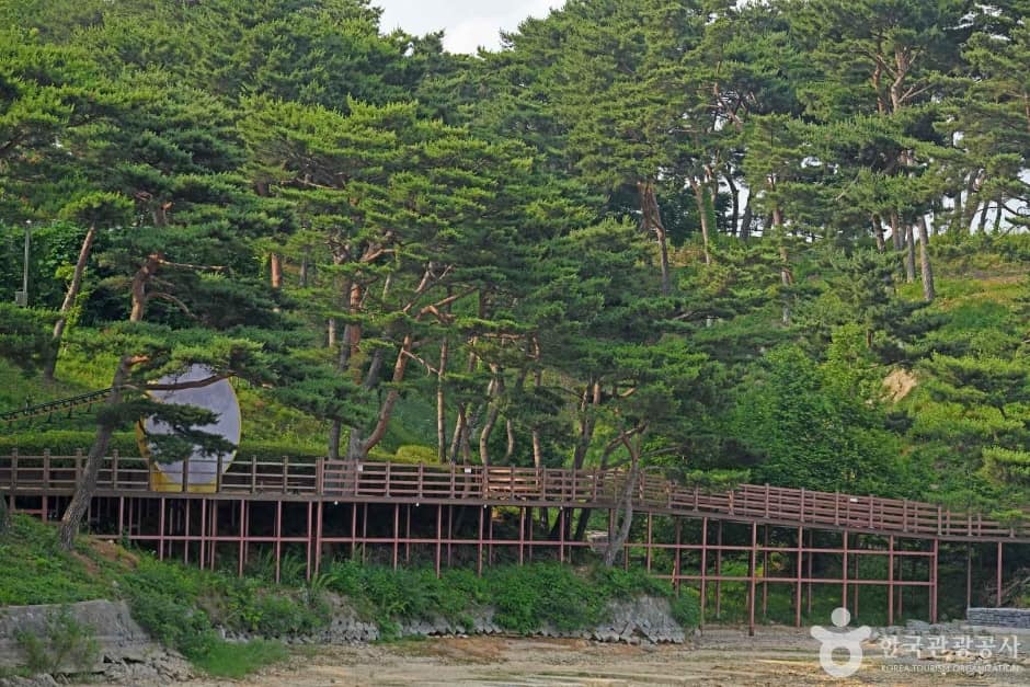 느린호수길 (7)