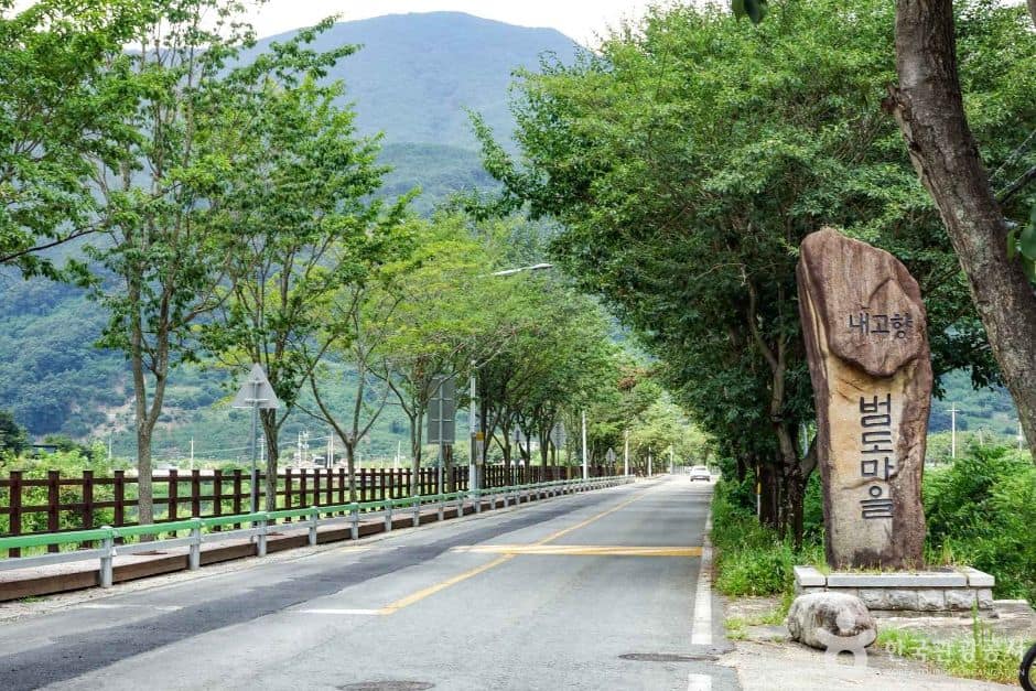 단장 이팝꽃 터널길 (2)