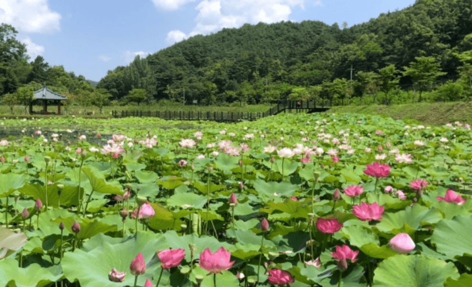 지산지(옥련생태공원) (1)