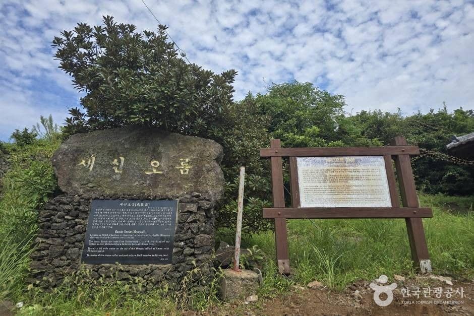 새신오름(신서악)_e (1)