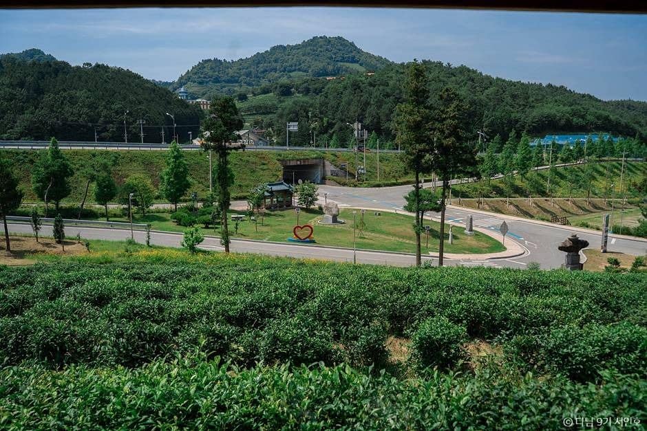 보성 가볼만한곳 보성 여름방학 가족 여행_ 봇재_2-9