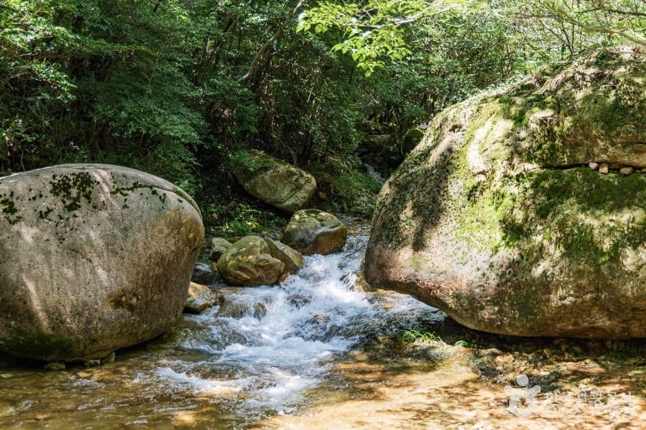강진_금릉경포대 (2)
