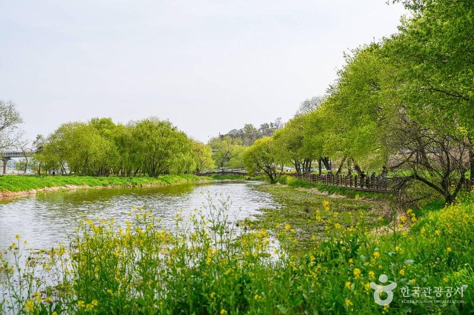 경주_금장대 습지공원 (1)