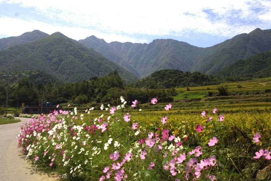 산청_웅석봉 (3)