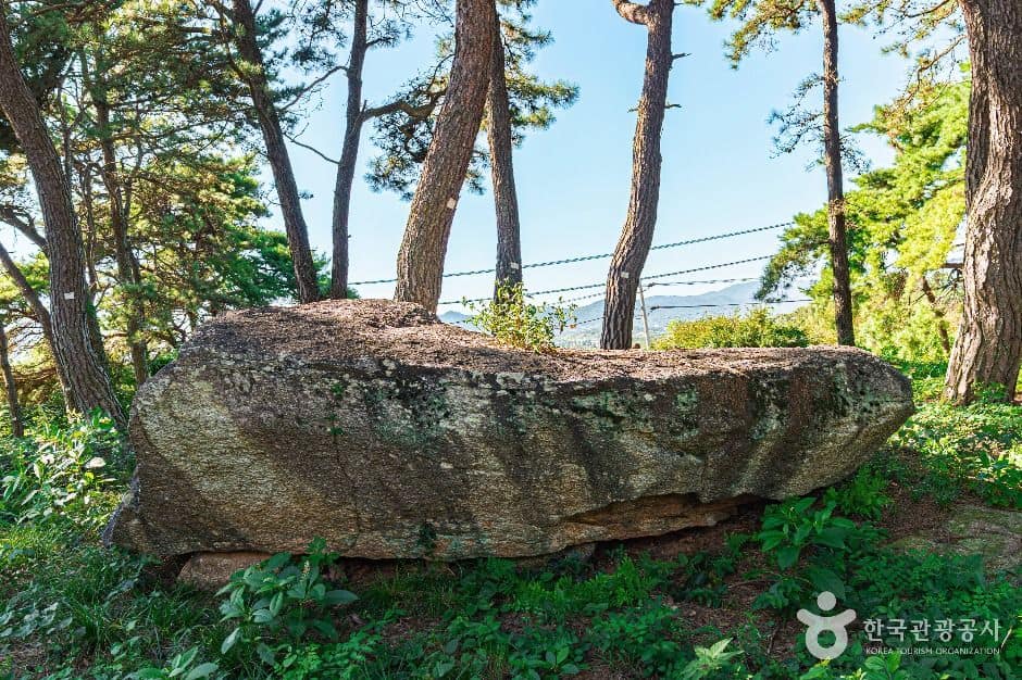 함평_함평 용월리 지석묘군 (3)