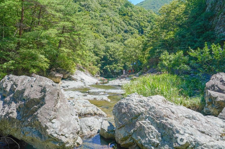 양산_배내골 (5)