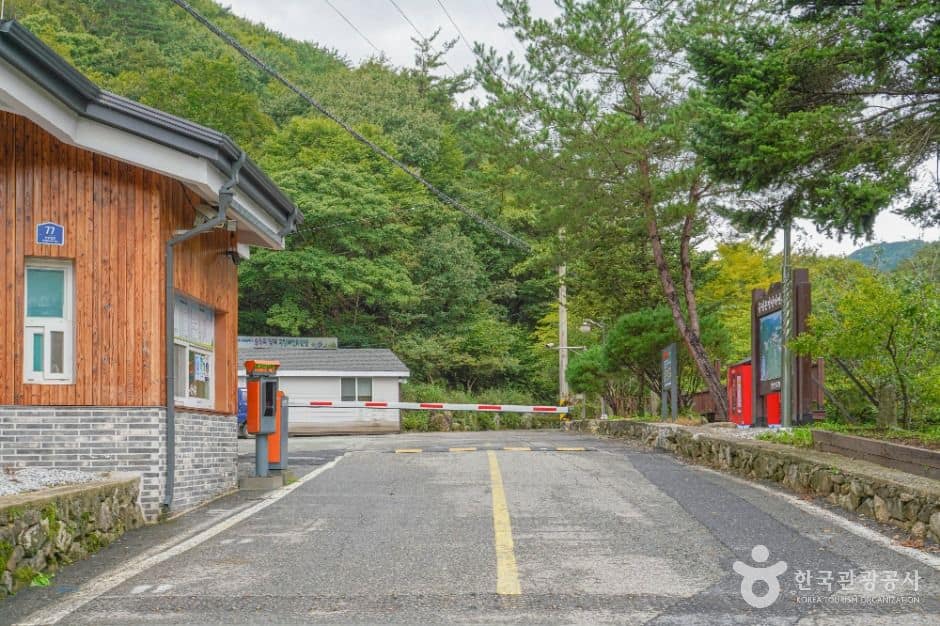 진안_국립 운장산자연휴양림 (8)