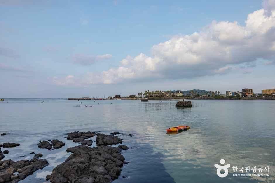 제주_제주신흥해수욕장 (2).jpg