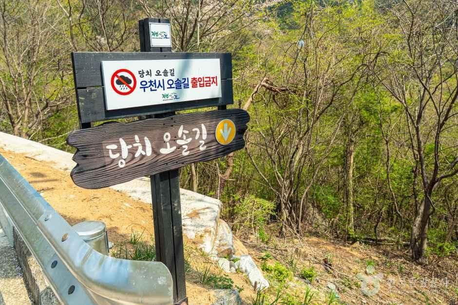 구례_당치마을 (6).jpg