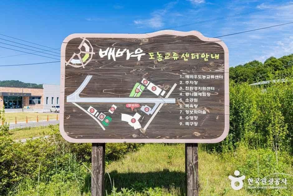 옥천_배바우청정마을 (6).jpg