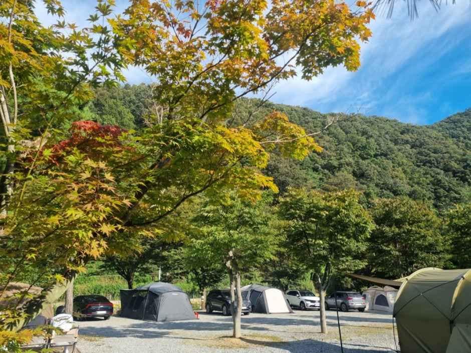 양평_수입리캠핑장 (4).jpg