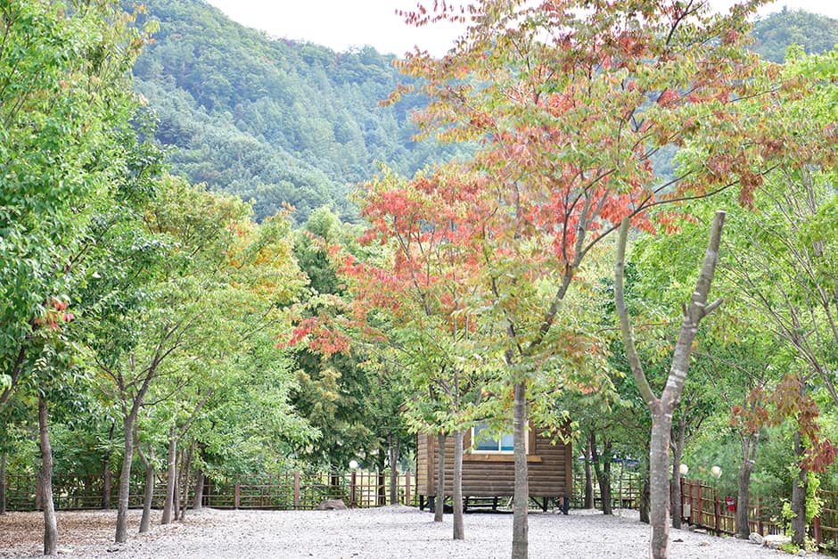 가평 사계절캠핑장_풍경