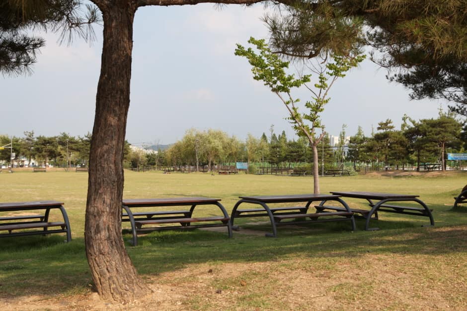 충남_천안_신방공원_풍경1