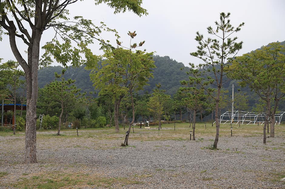 경기도_연천군_삼화리 동광 캠핑장_전경