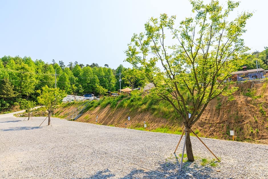 충남_부여군_느루캠핑장_캠핑장_12