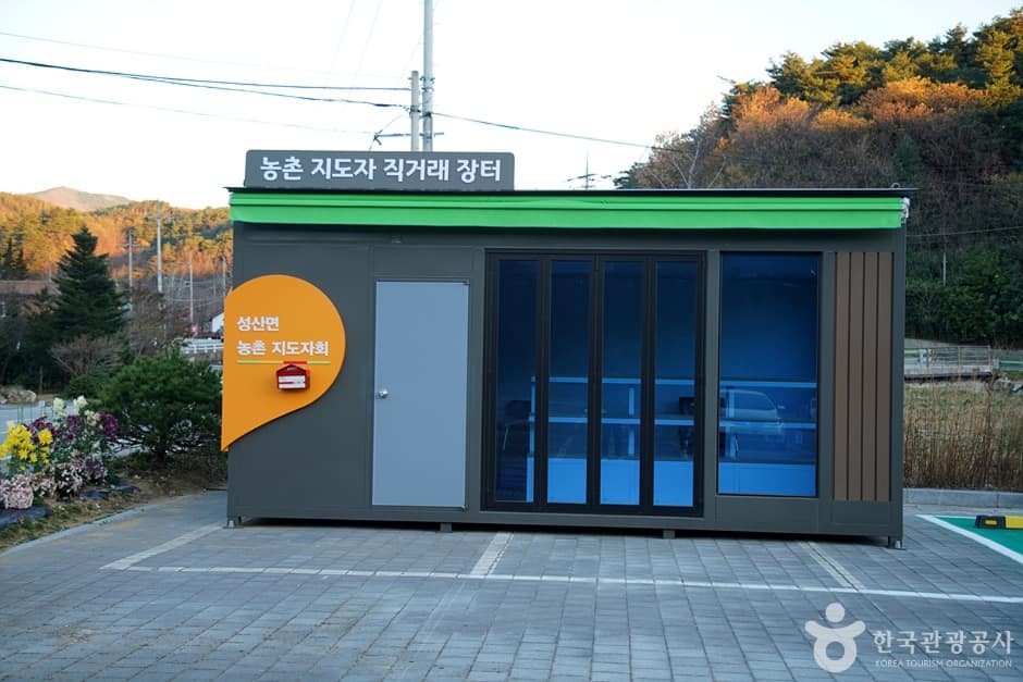 대관령 소나무숲길 (1)