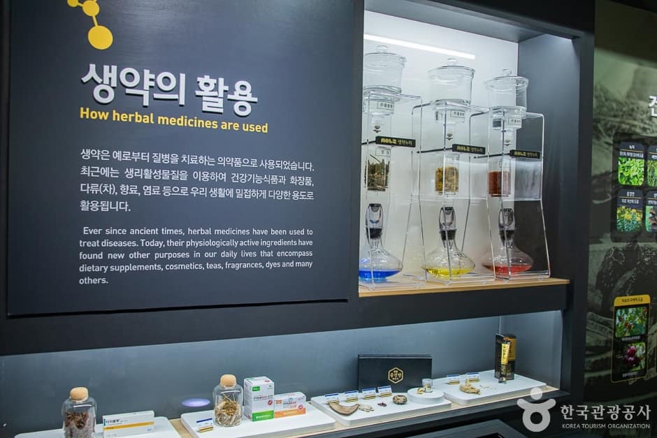 제주_서귀포_생약누리(30)