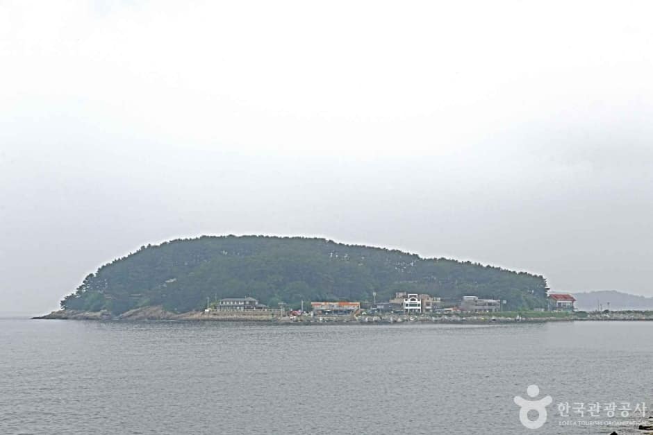 보령 해수욕장 관광특구 (7)