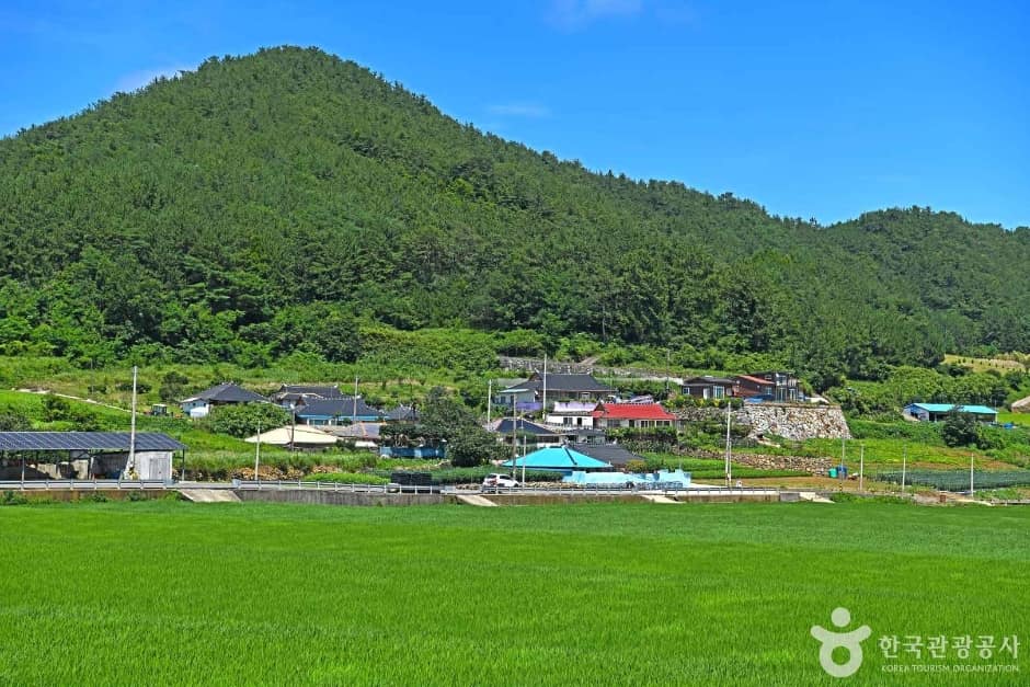 내나로도 (5)