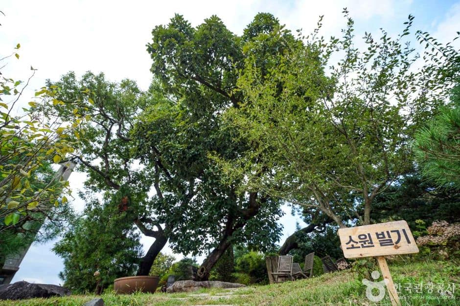 경기_파주_소울원 (7)