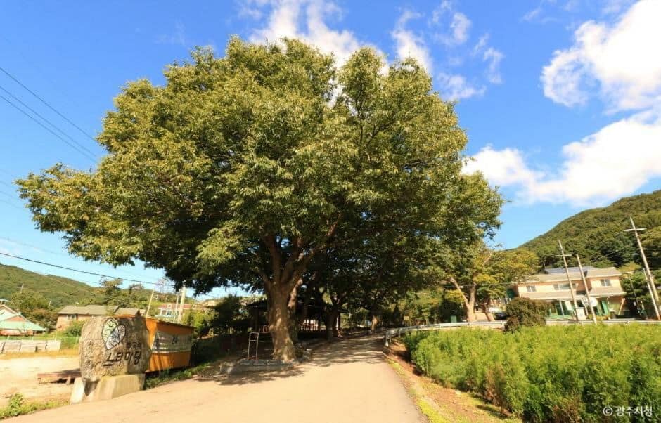 광주 산두른마을 [농촌전통테마] (3)