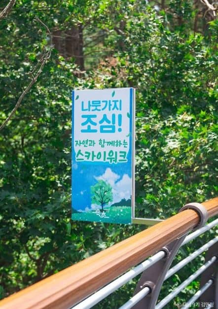 속초 여행 가볼만한곳 강원도 여름휴가 추천_설악향기로_1-2