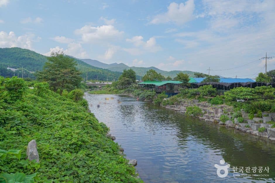 화순_동가리계곡(숲속유원지) (1)