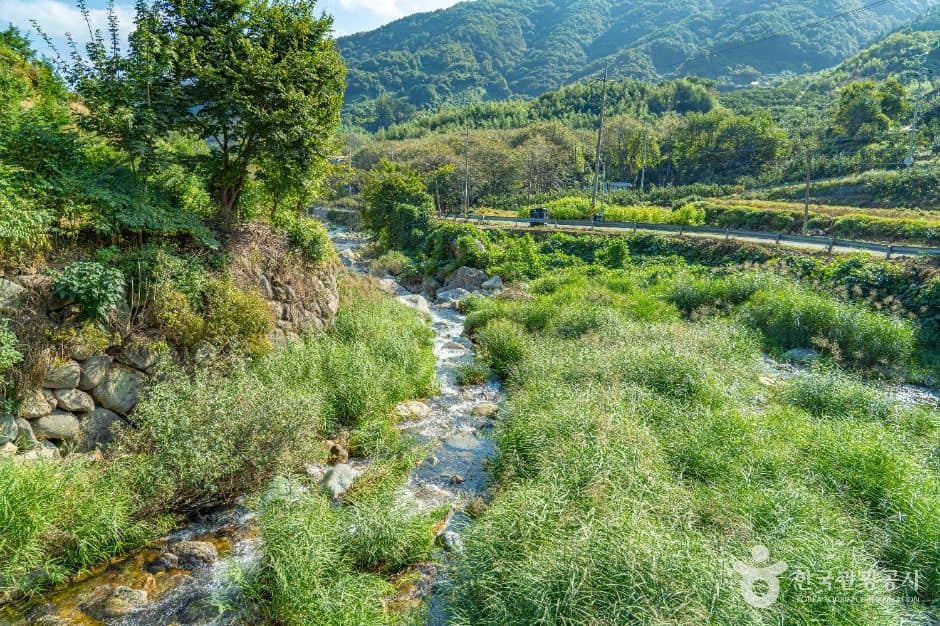 산청_고운동계곡 (5)