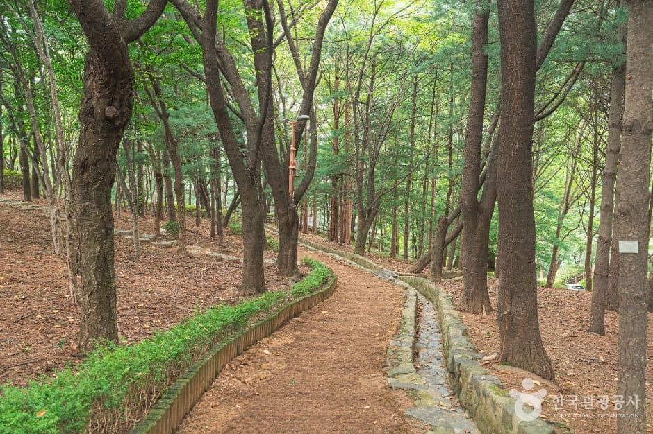 성남_은행공원 (4)
