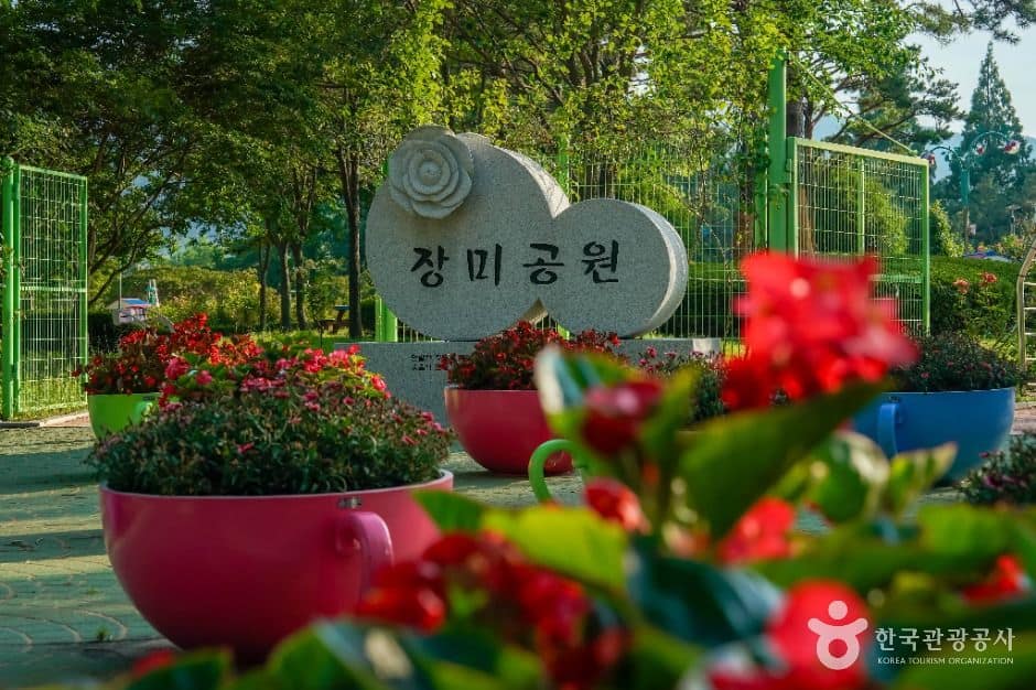 창원_장미공원(창원) (1)