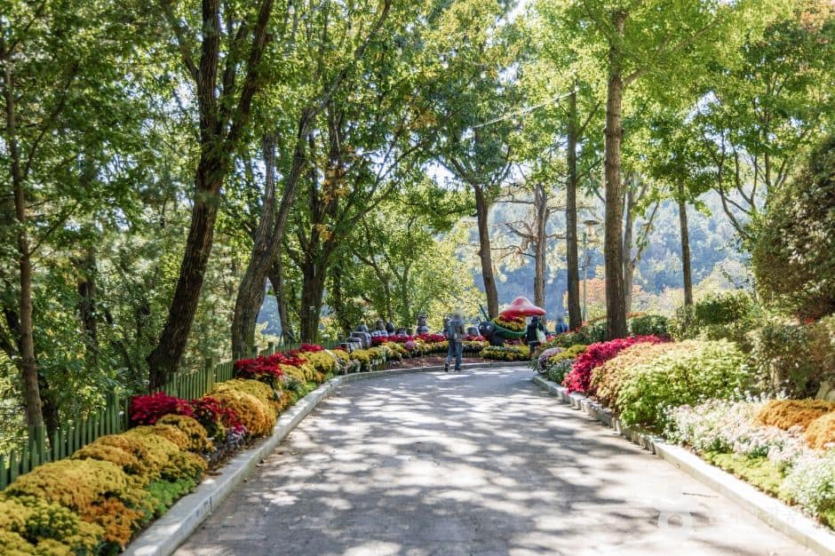 용인_용인농촌테마파크 (1)