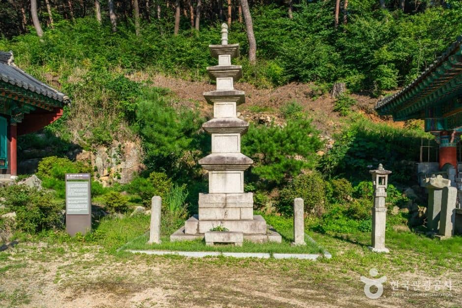 청도_신둔사(청도) (6)
