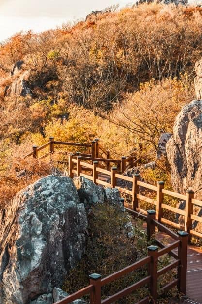 거제_노자산 (3)