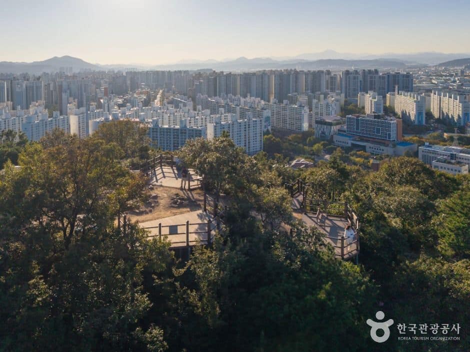 대구_학산공원 (6)