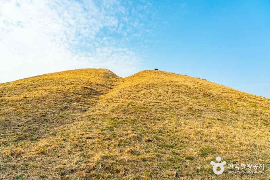 순천_순천 검단산성 (1).jpg