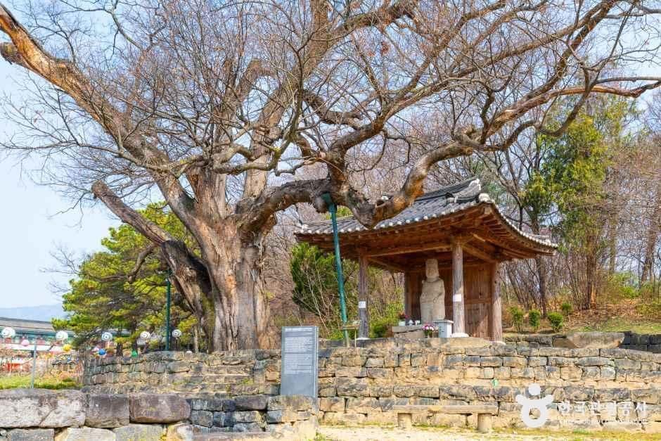충북_증평_미암리 석조관음보살입상_4.jpg