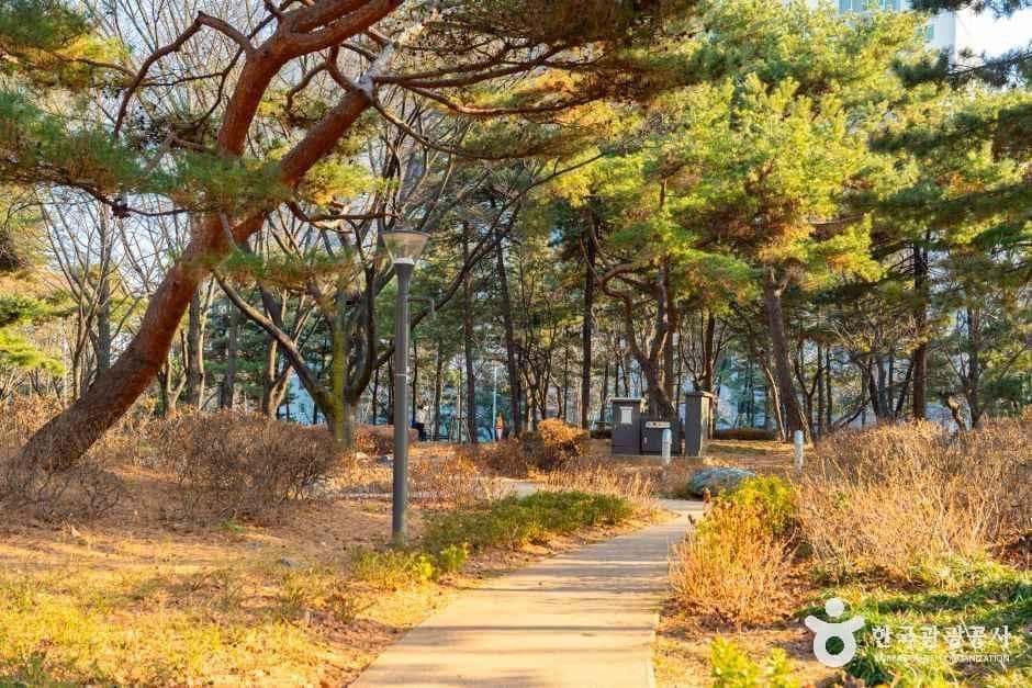 서울_양천공원 (6).jpg