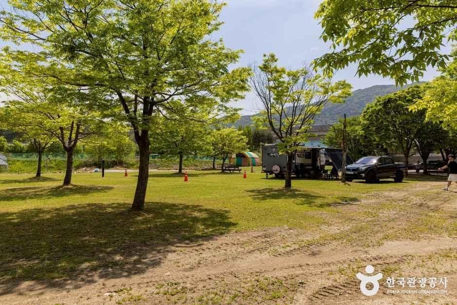 괴산_시냇가 캠핑장 (6).jpg