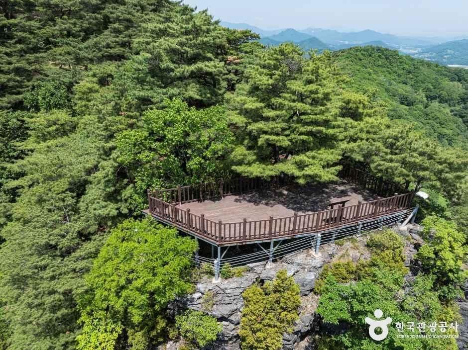 제천_[청풍호자드락길 6코스] 괴곡성벽길 (4).jpg
