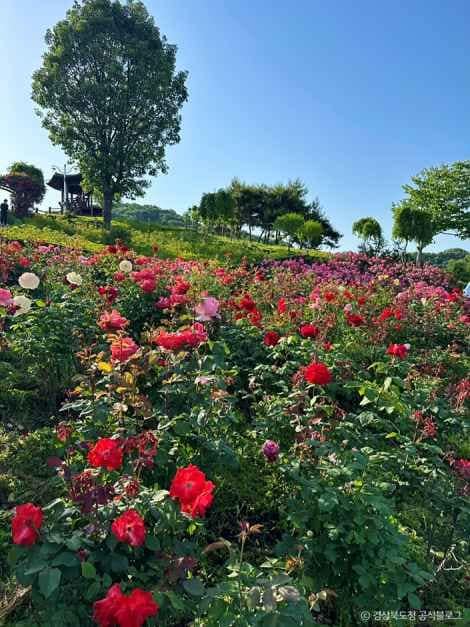 상주_함창명주테마파크공원 (6).jpg