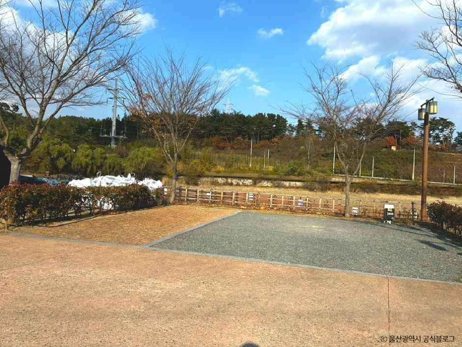 울산_태화연오토캠핑장 (6).jpg