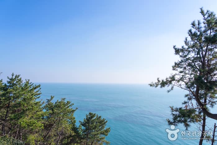 한국관광공사 추천 1월 걷기여행길_해파랑길 02코스_5