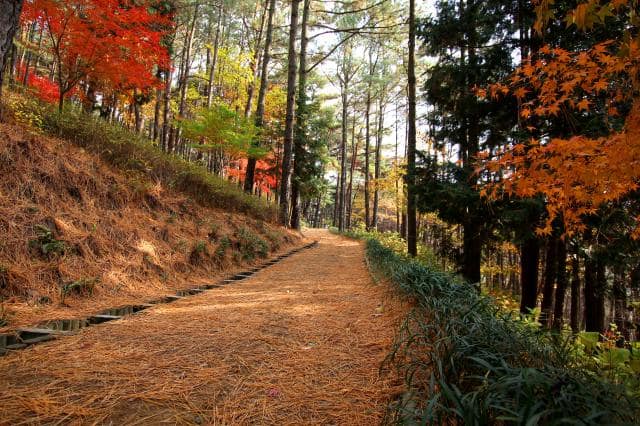 만연산 오감연결길 (2)