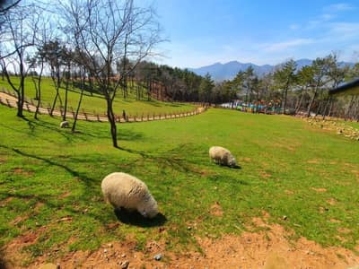 숲소리공원