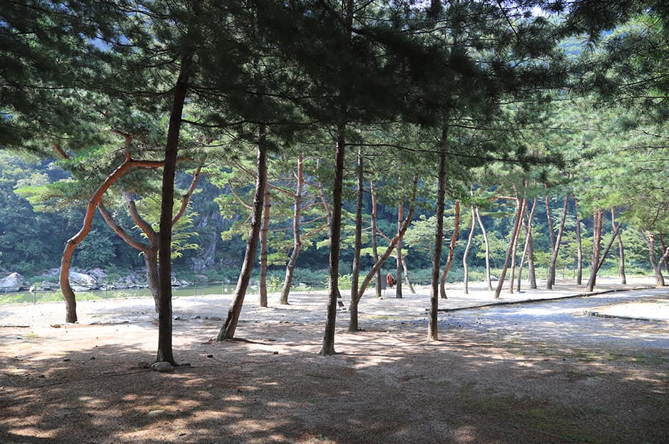 리버힐즈오토캠핑장_전경1