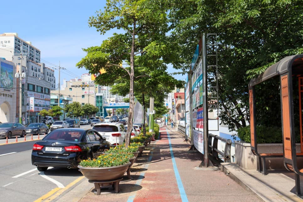 오동도-여자만자전거길_파란색으로 표시된 자전거길