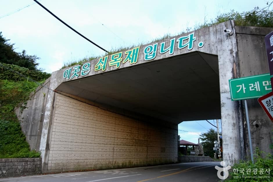 쇠목재 (20)